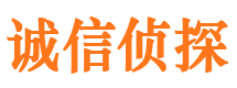 同仁市调查公司